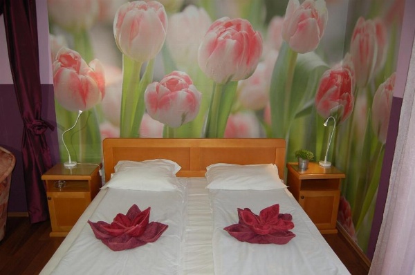 Kniaz Boris Hotel image 31